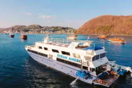 Open Trip Komodo Ocean Angel, charter yacht labuan bajo, harga open trip ocean angel, phinisi trip labuan bajo, sewa kapal komodo, komodo boat charter